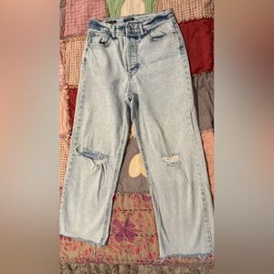 Wild Fable Light Blue Ripped Skinny Jeans